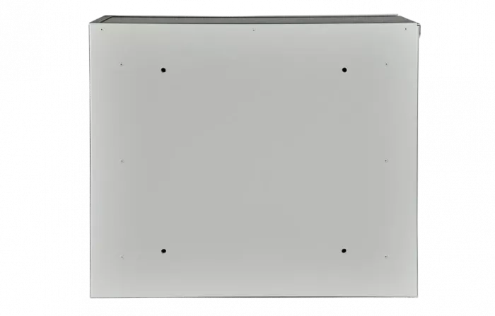 Шкаф антивандальный настенный ШАН-Пенал ШАН-П 9U ССД