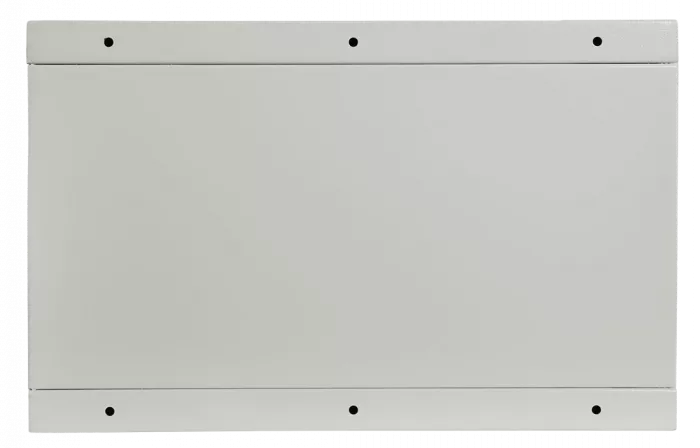 Шкаф антивандальный настенный ШАН-М 19" 6U(600*450) ССД