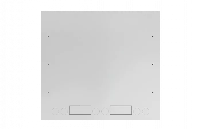 Шкаф антивандальный настенный ШАН-Э 19" 6U(600*550) ССД