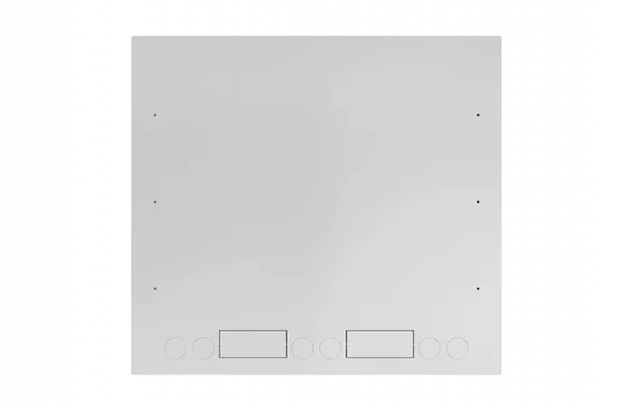 Шкаф антивандальный настенный ШАН-Э 19" 9U(600*550) ССД