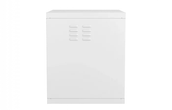 Шкаф антивандальный настенный ШАН-Э 19" 12U(600*550) ССД