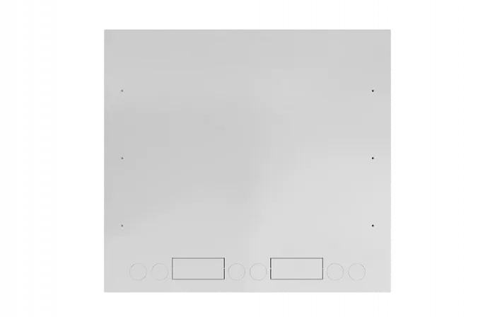 Шкаф антивандальный настенный ШАН-Э 19" 12U(600*550) ССД