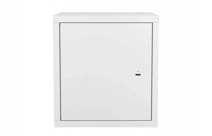 Шкаф антивандальный настенный ШАН-Э 19" 12U(600*550) ССД